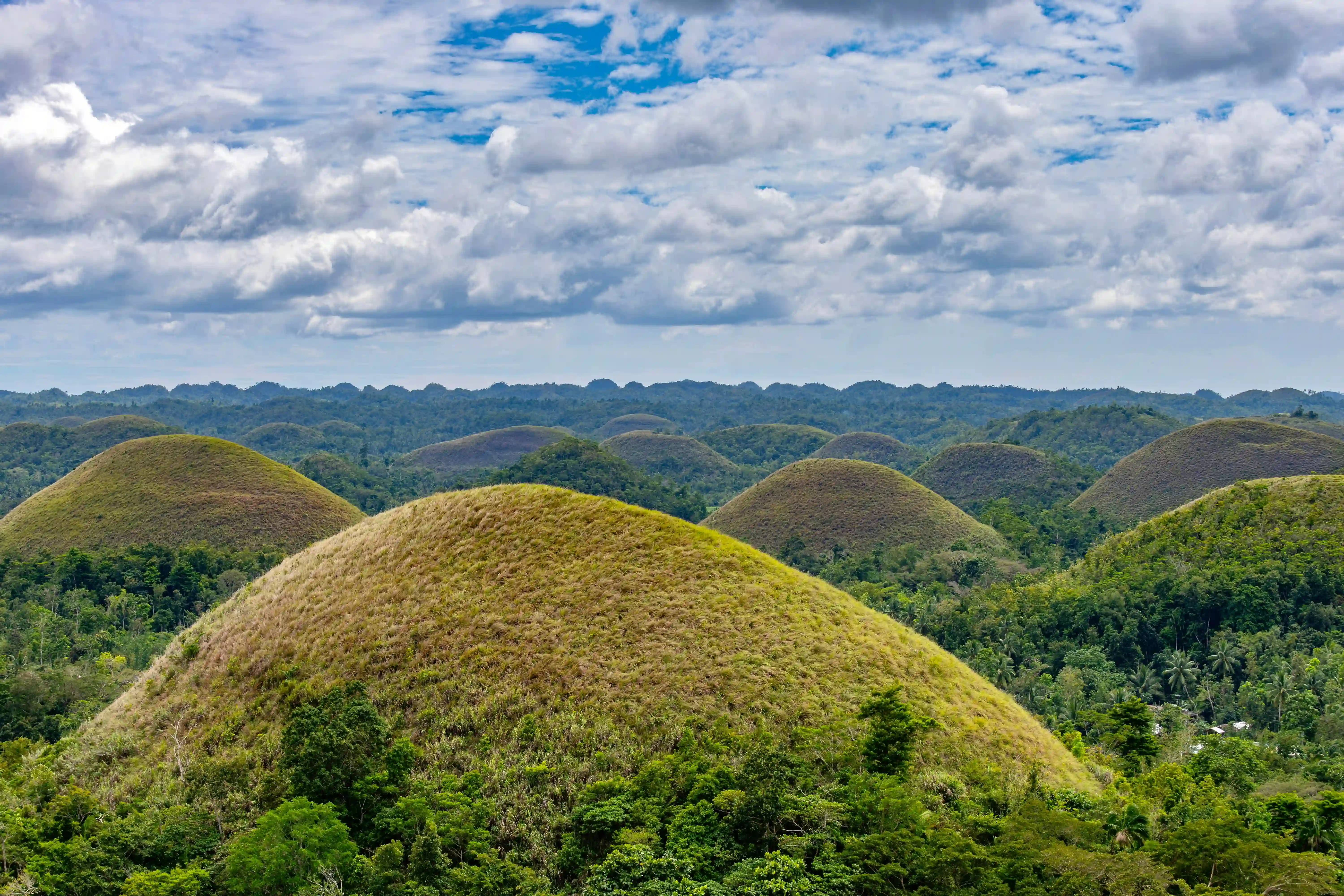 Bohol