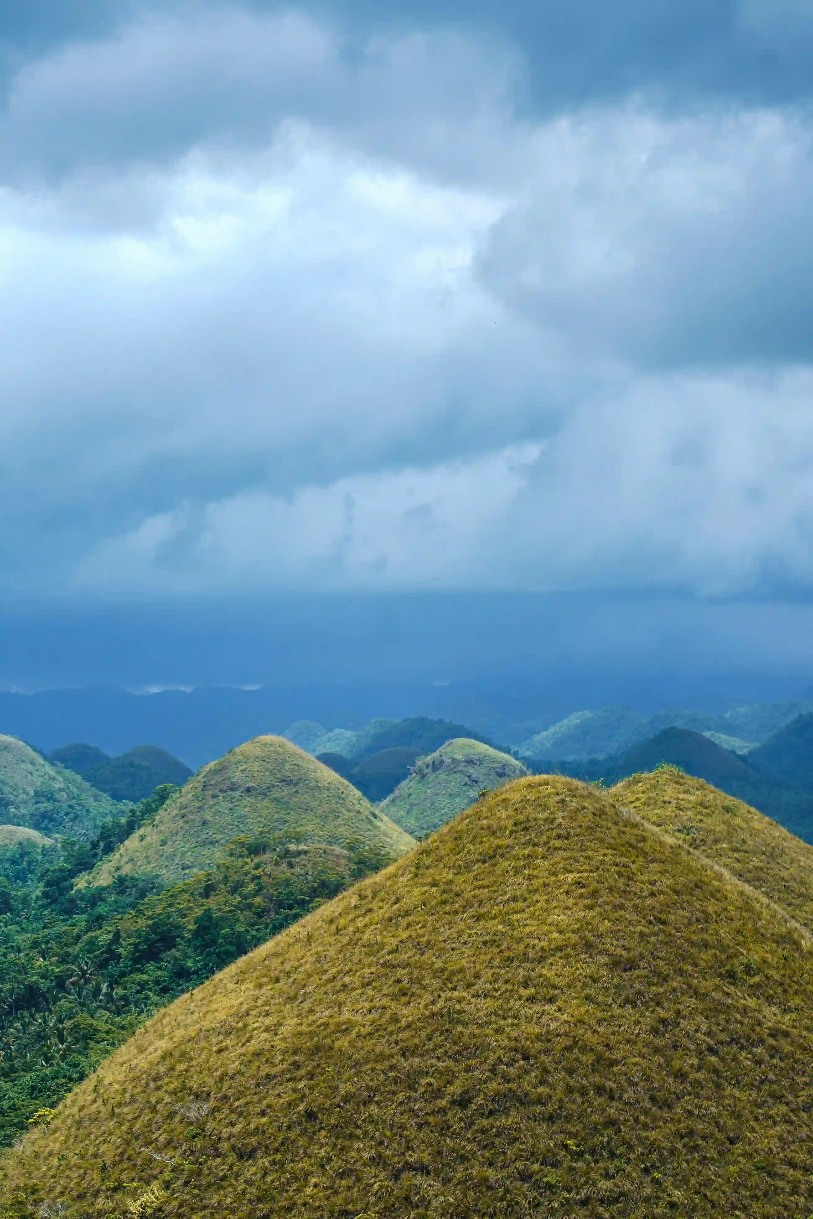 Bohol