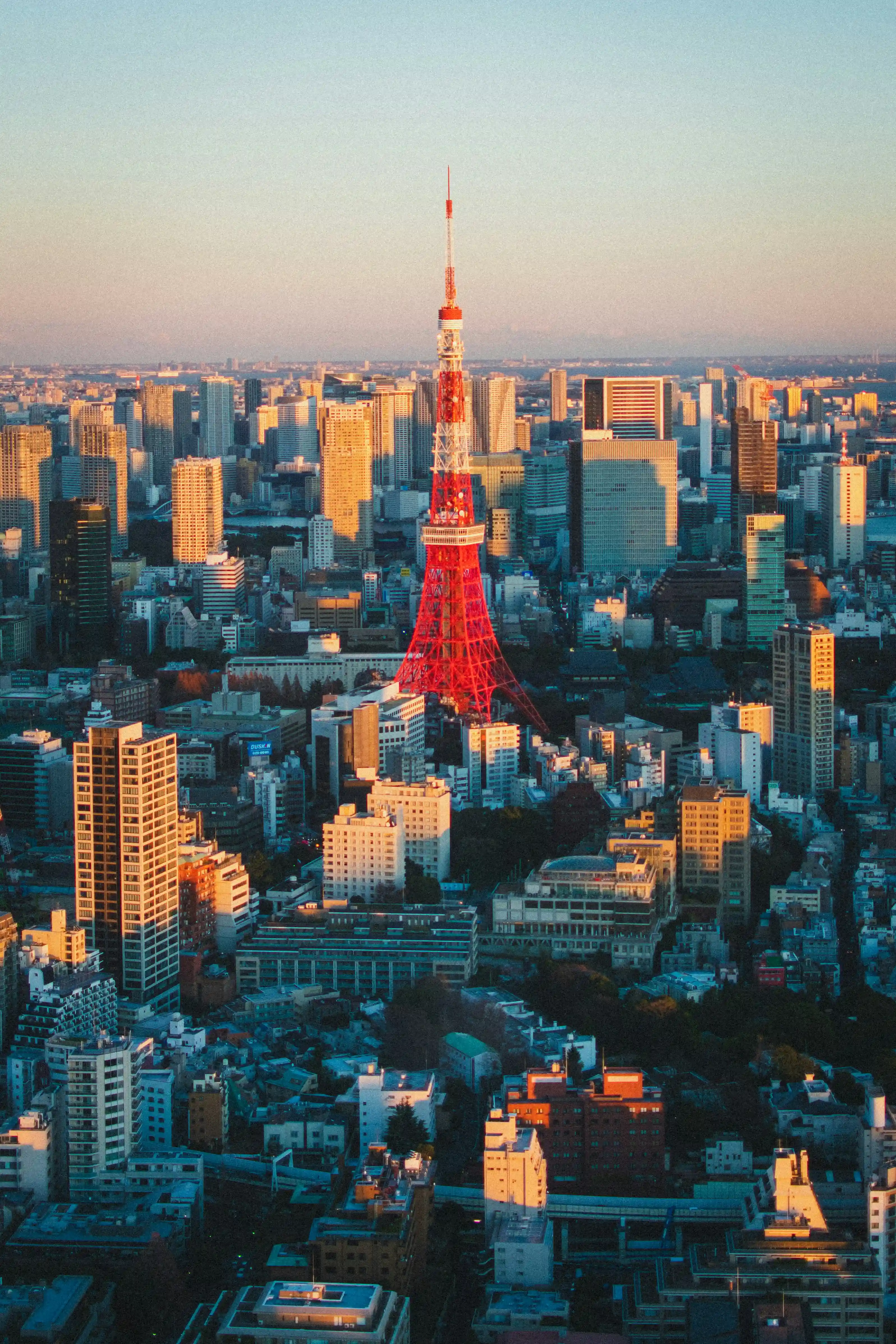 Tokyo - Mt. Fuji - Yokohama