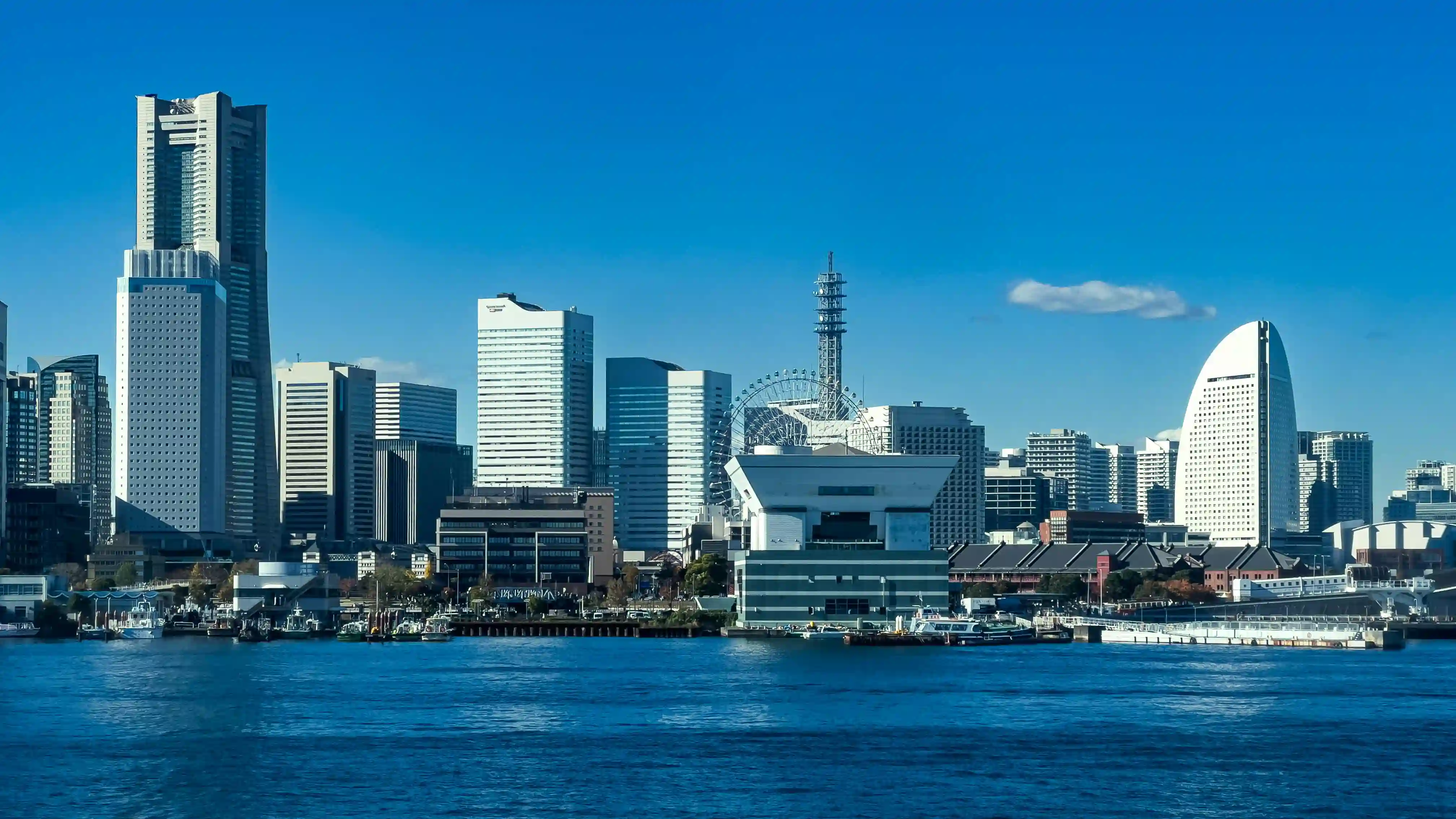 Tokyo - Mt. Fuji - Yokohama
