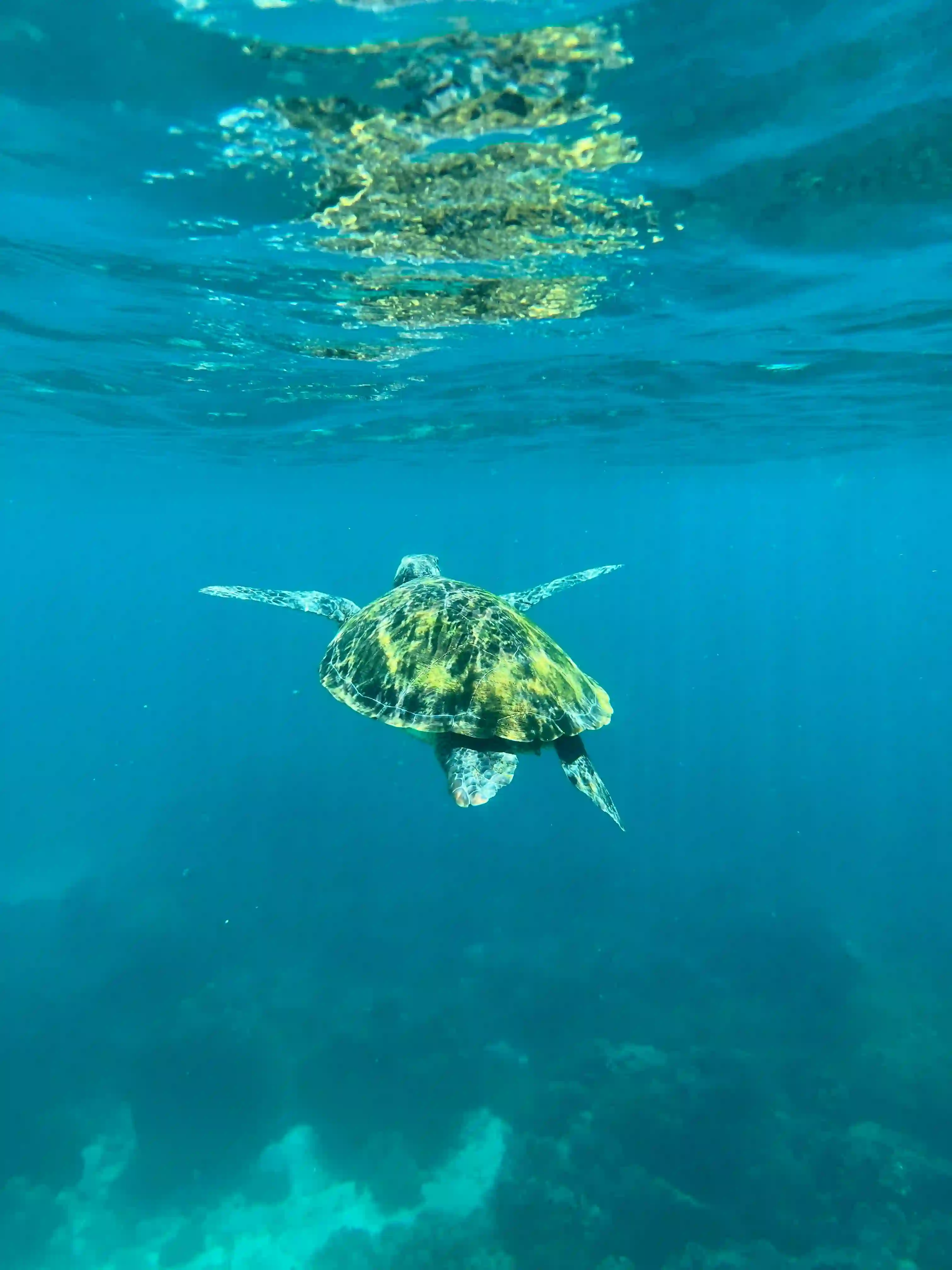 Siquijor